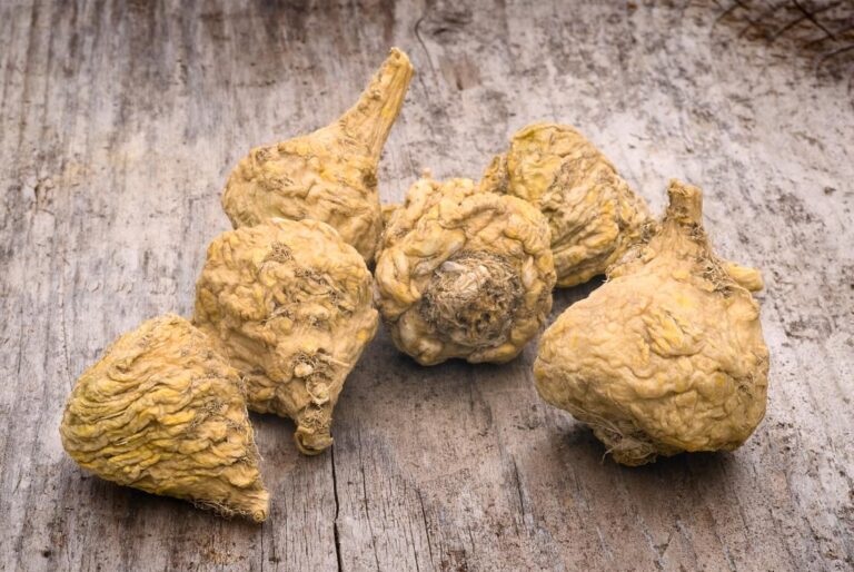 Maca Root: Your Pathway to Enhanced Female Fertility and Vibrant Health